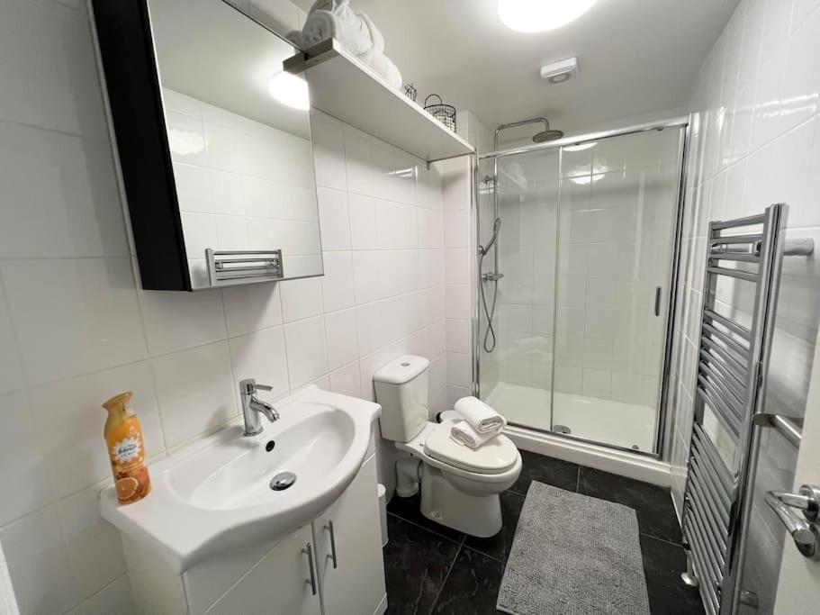 Apartment Luxury Luton (Bedfordshire)